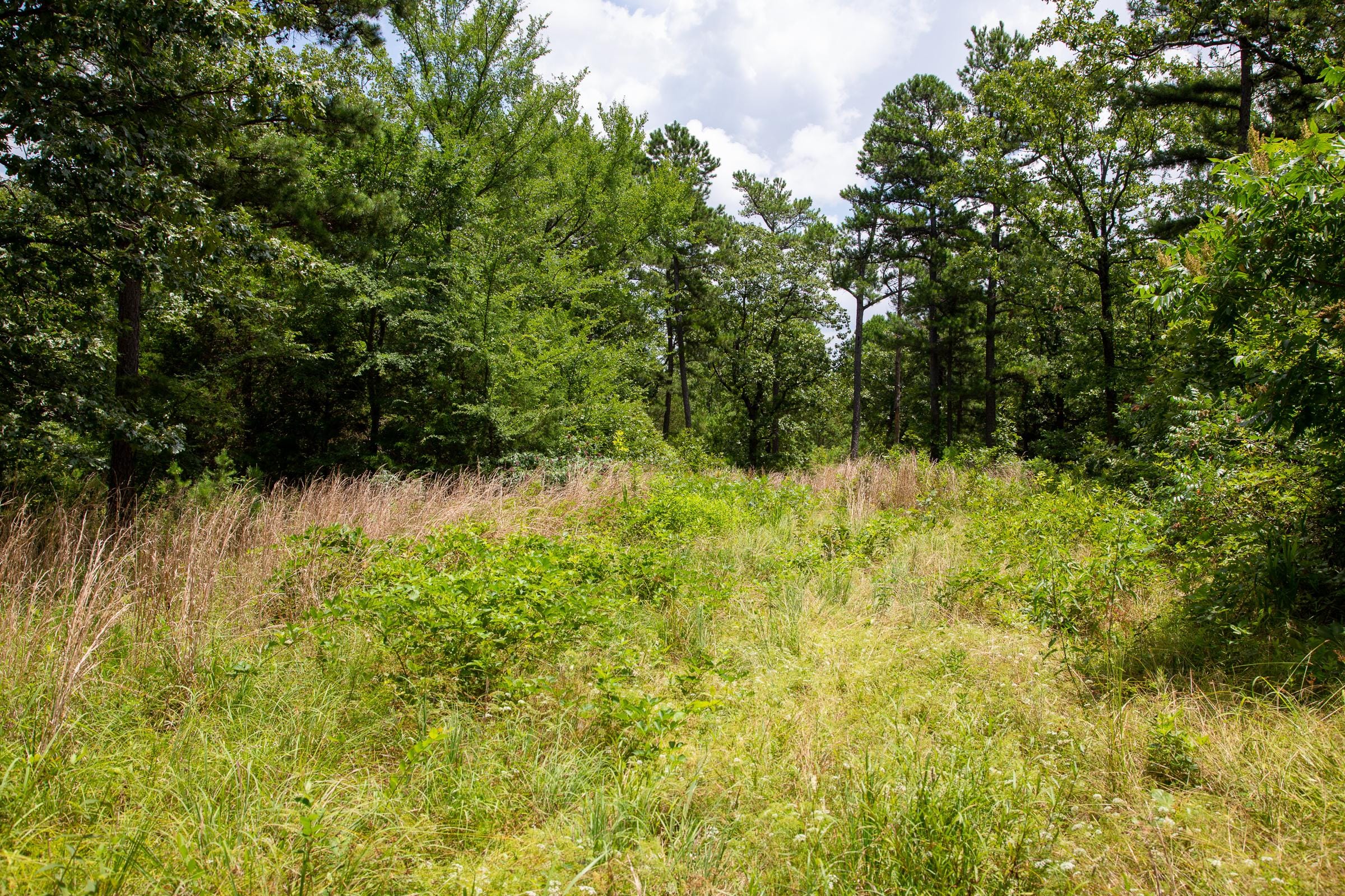 Tyler Stone Ranch Tract 19 photo 10