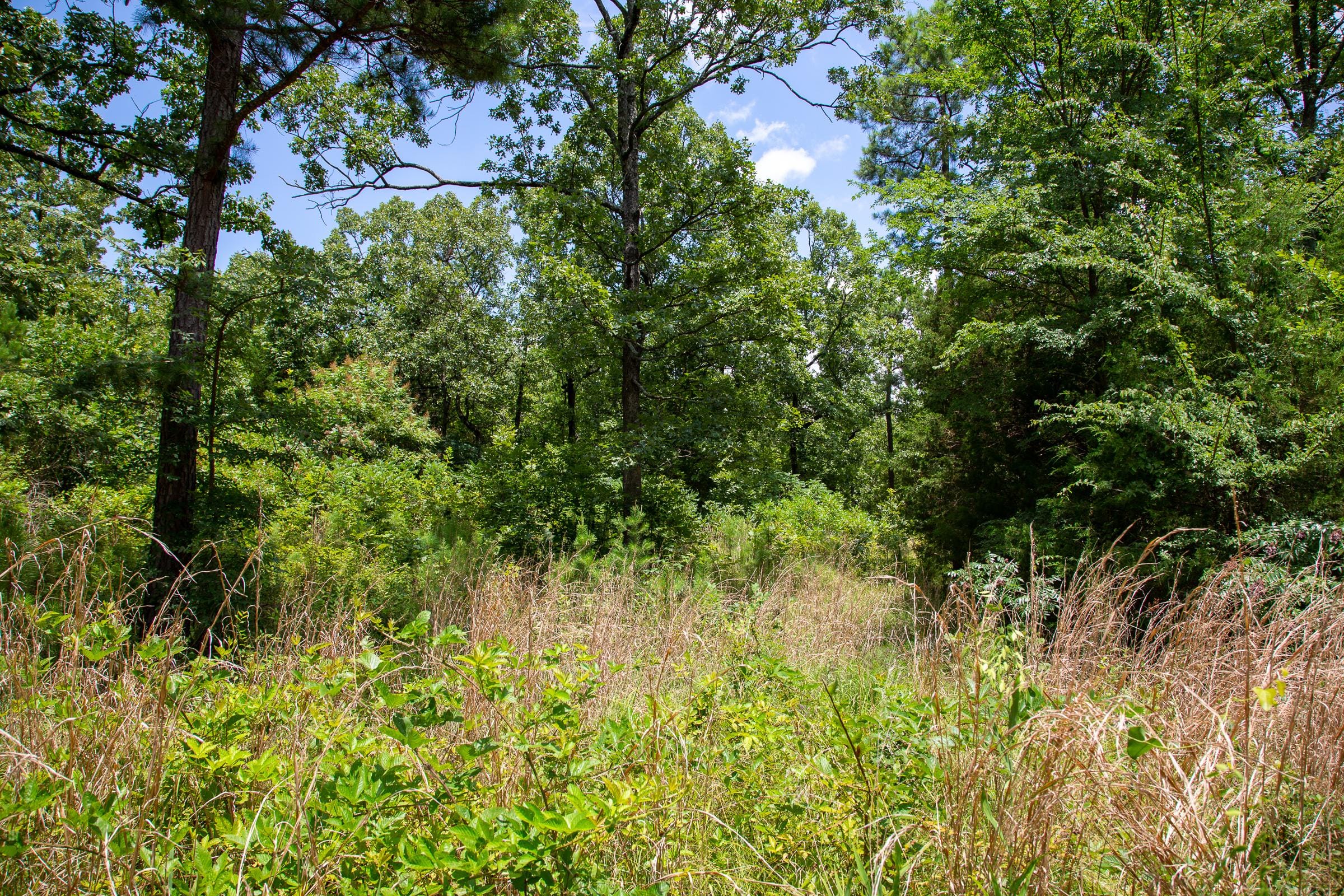 Tyler Stone Ranch Tract 19 photo 11