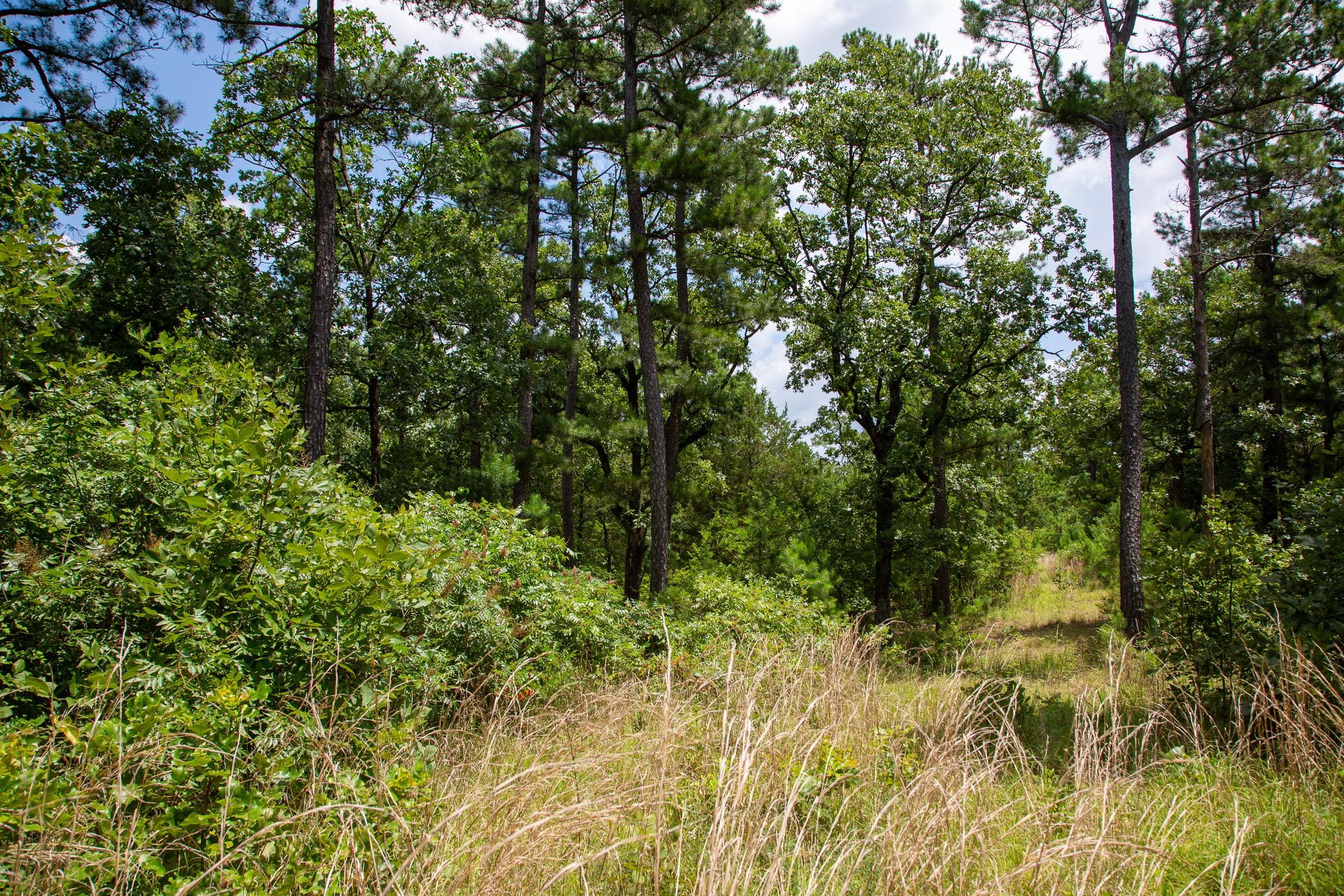 Tyler Stone Ranch Tract 19 photo 12