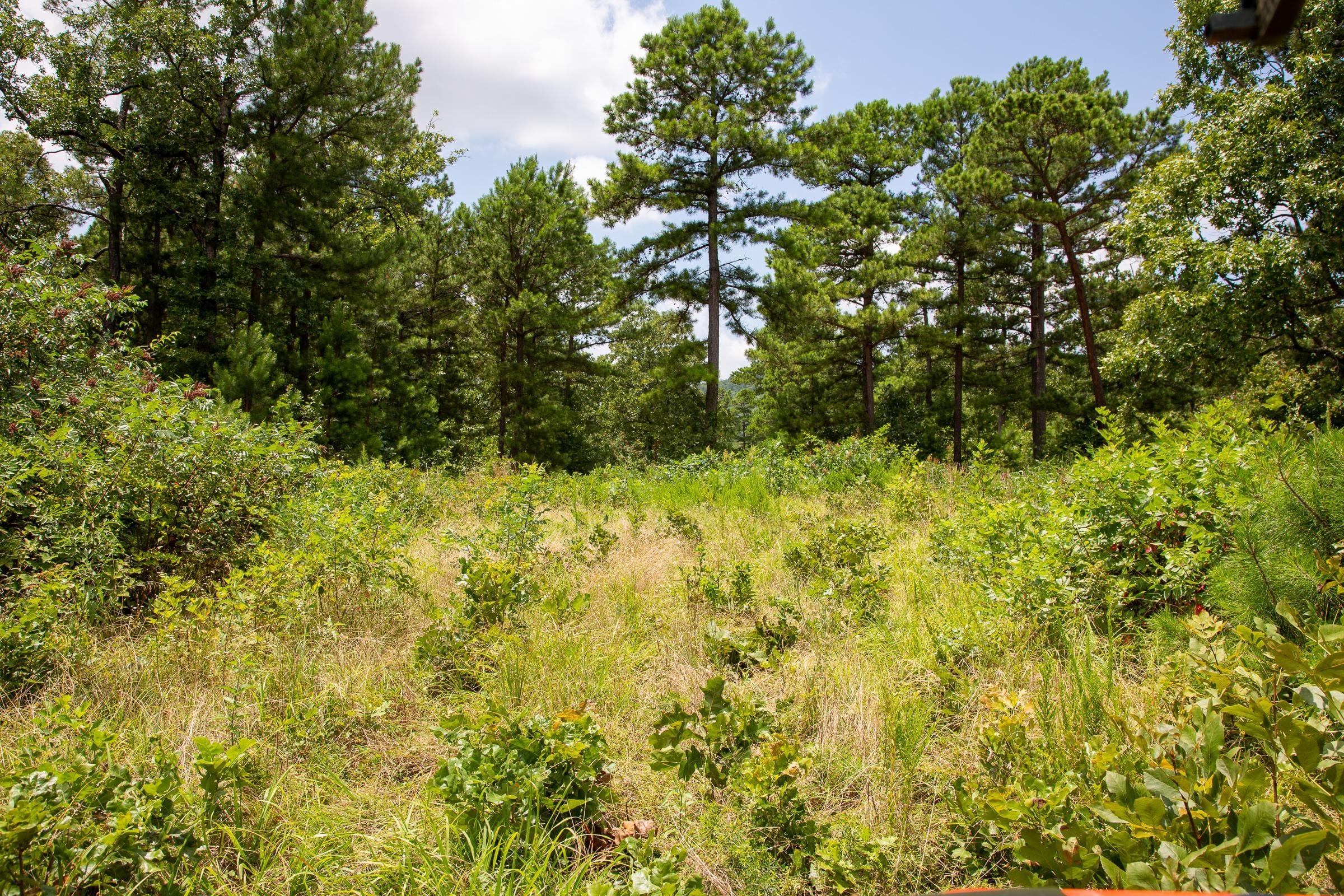 Tyler Stone Ranch Tract 19 photo 13