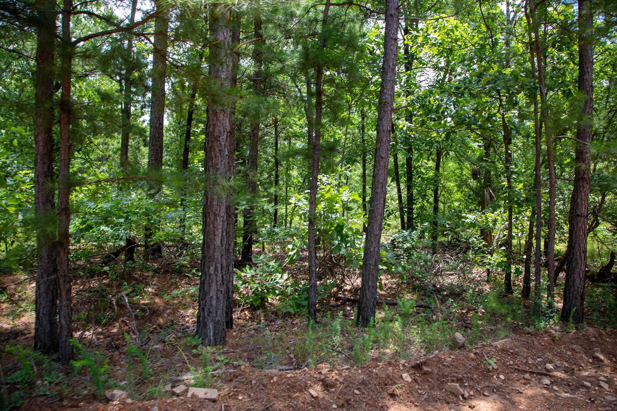 Tyler Stone Ranch Tract 19 photo 14