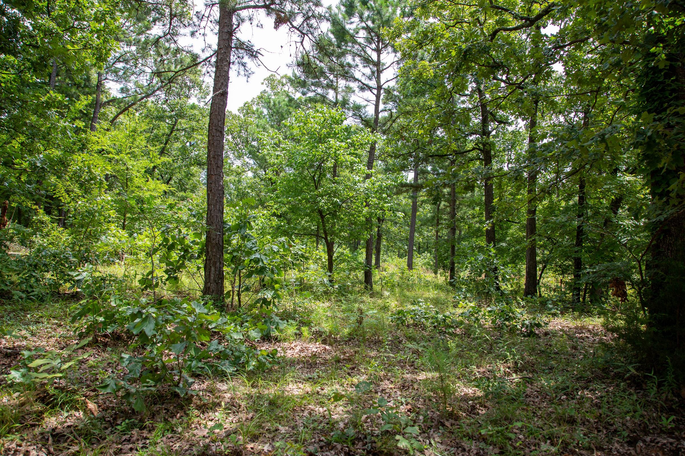 Tyler Stone Ranch Tract 19 photo 1
