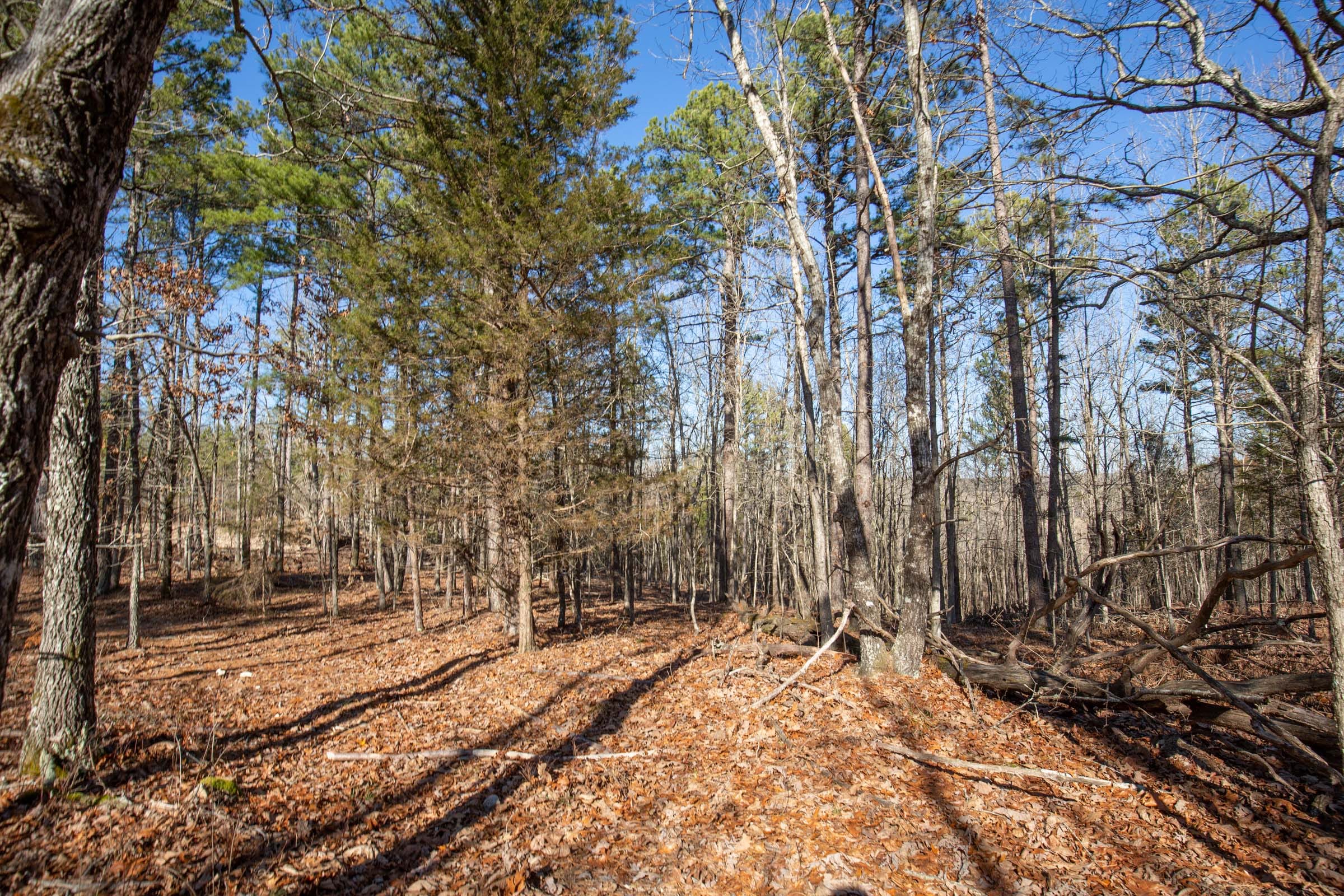 O’Connor Crossing Tract 12 photo 3