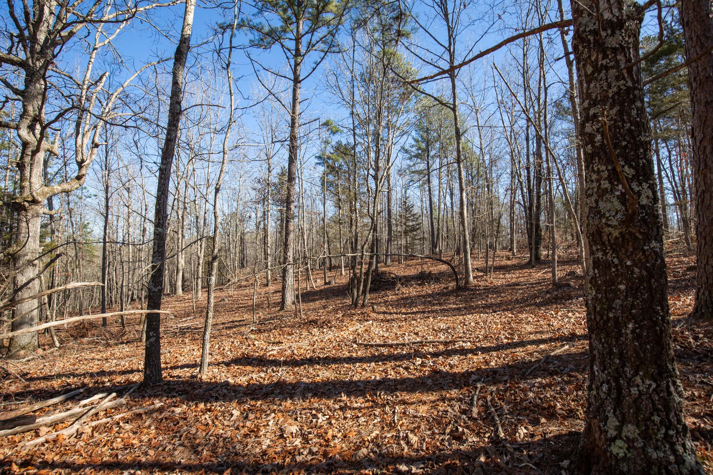 O’Connor Crossing Tract 12 photo 4