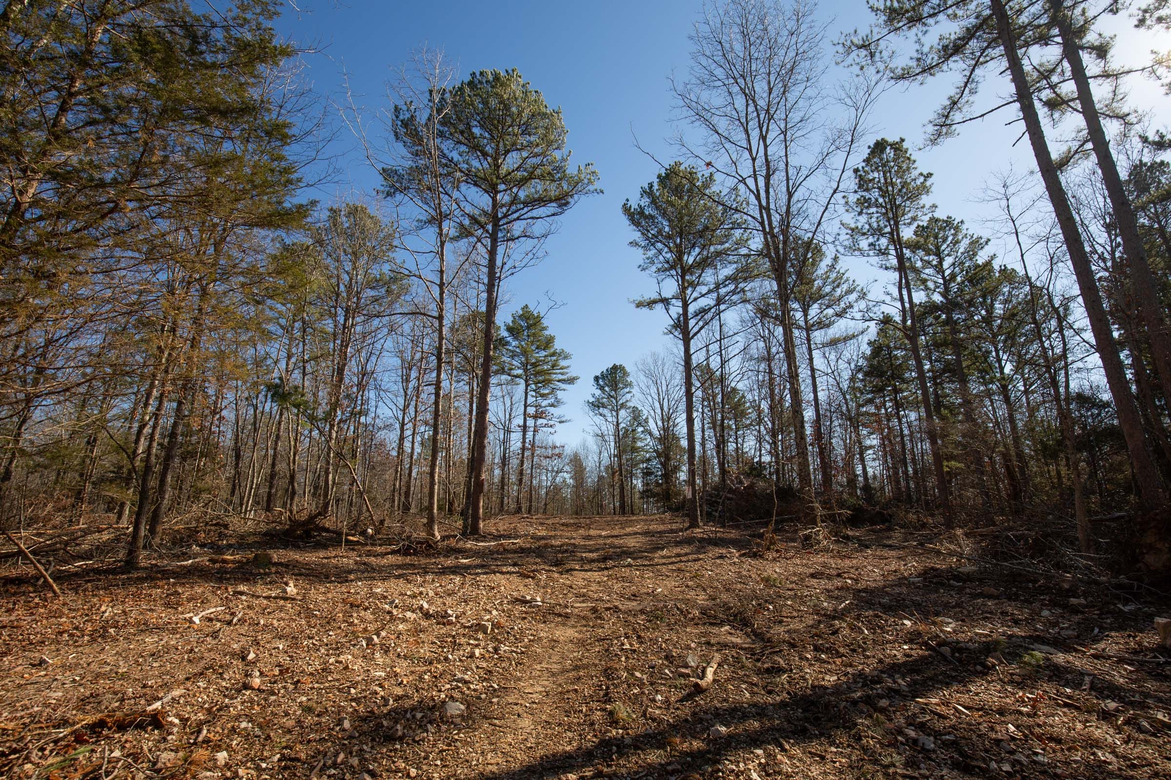 O’Connor Crossing Tract 12 photo 9