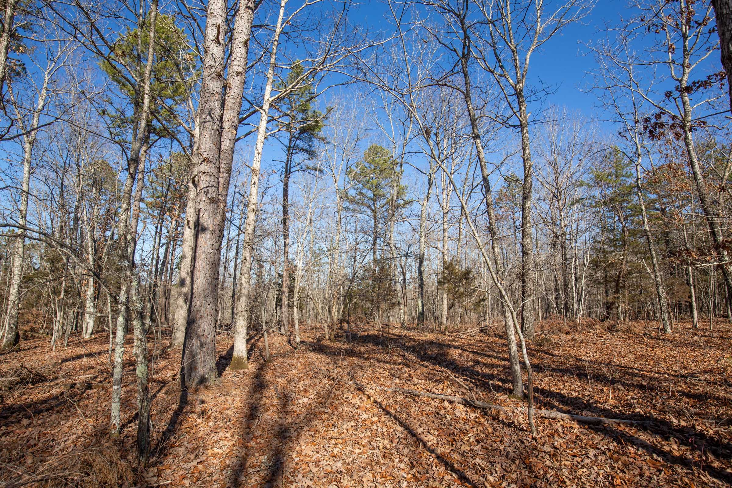 O’Connor Crossing Tract 12 photo 8