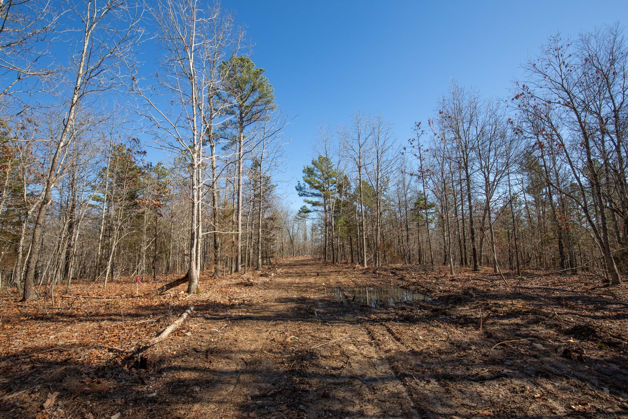 O’Connor Crossing Tract 12 photo 2