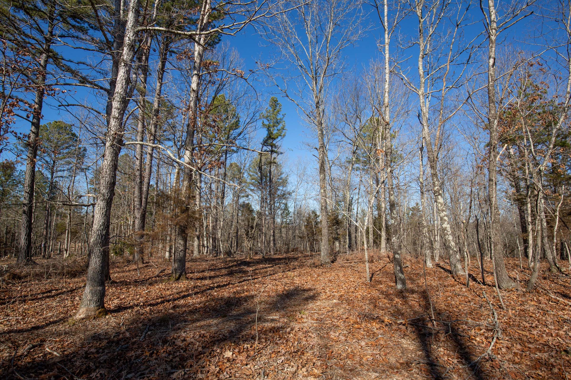 O’Connor Crossing Tract 12 photo 7