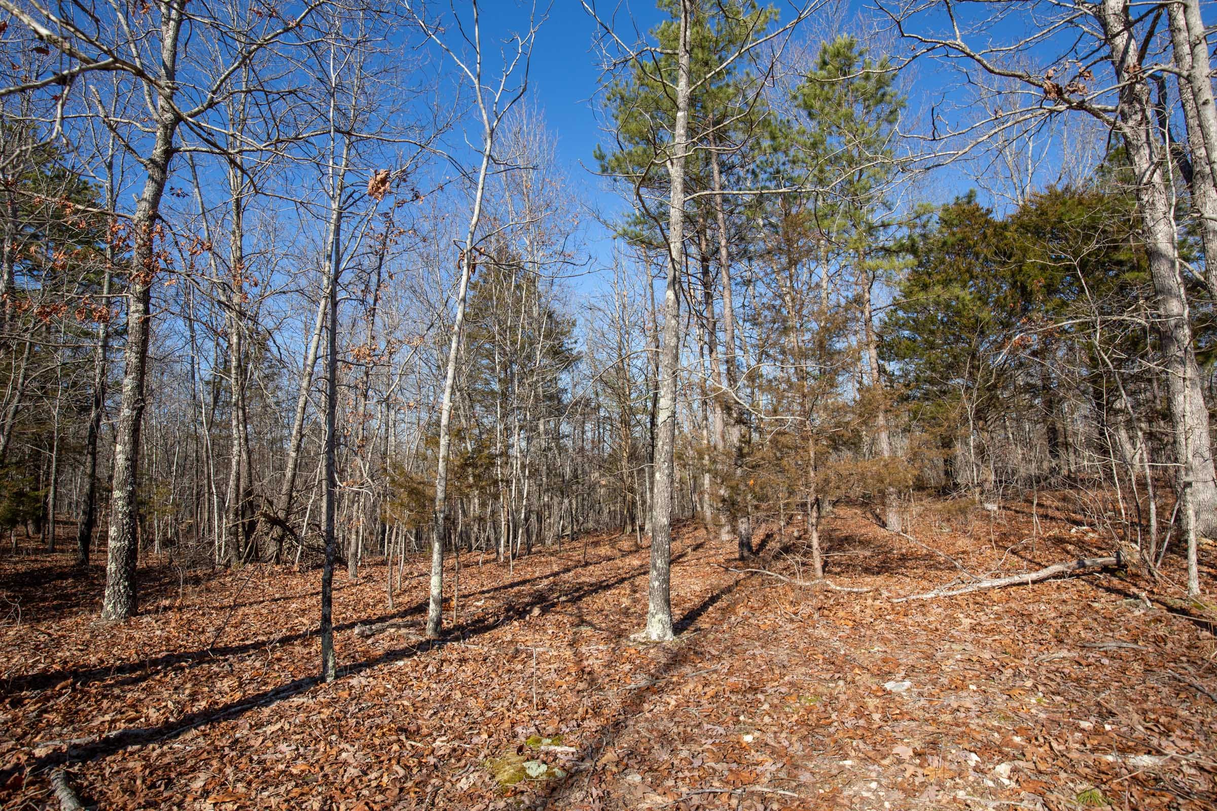O’Connor Crossing Tract 12 photo 5
