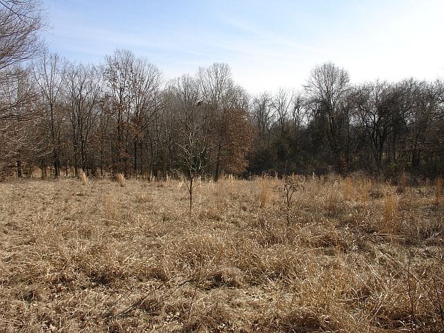 Tranquility Farms Tract 8 photo 2