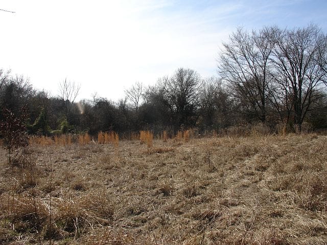 Tranquility Farms Tract 8 photo 3