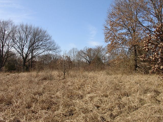 Tranquility Farms Tract 8 photo 4