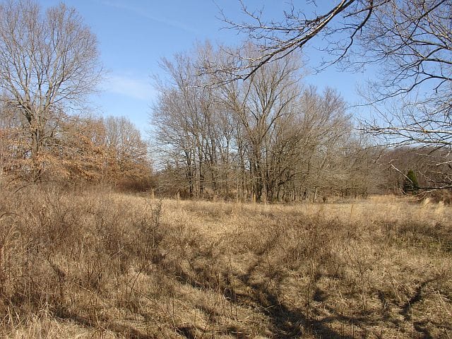 Tranquility Farms Tract 8 photo 5