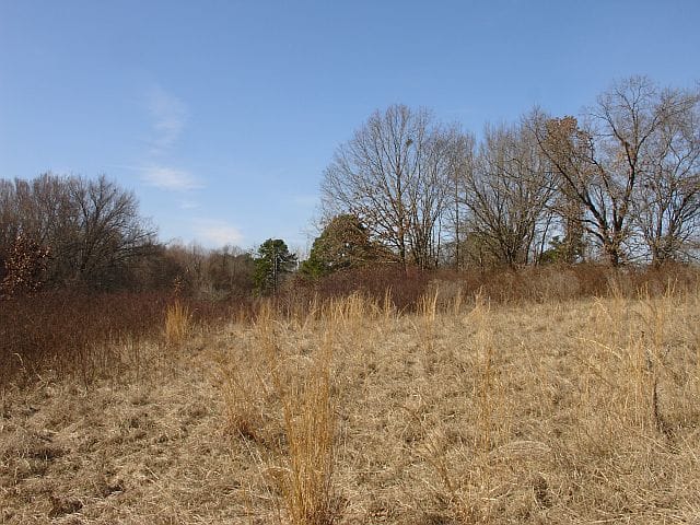 Tranquility Farms Tract 8 photo 6