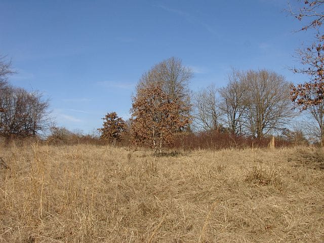 Tranquility Farms Tract 8 photo 7
