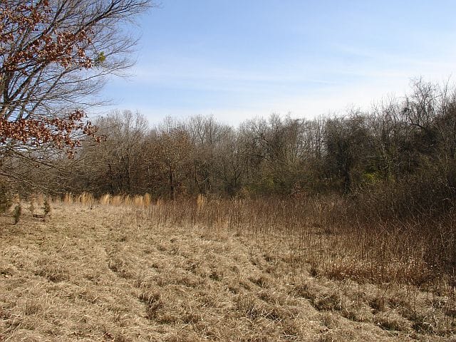 Tranquility Farms Tract 8 photo 8