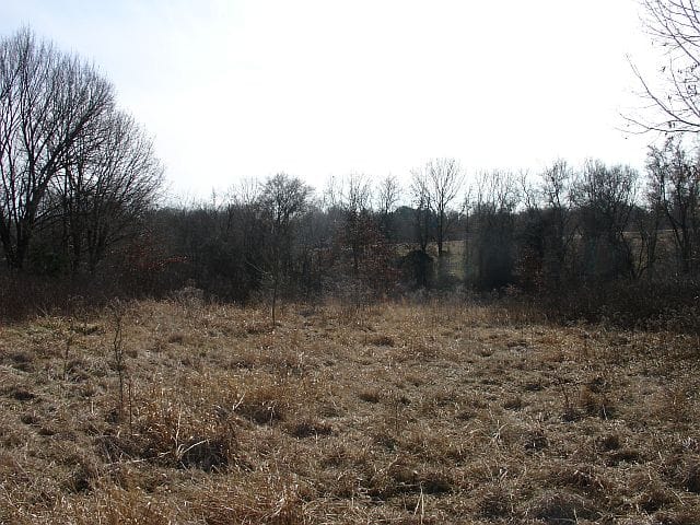 Tranquility Farms Tract 8 photo 9