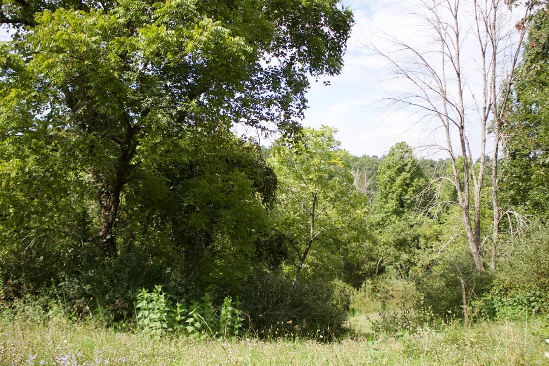 Heritage Hollow Tract 22 photo 1