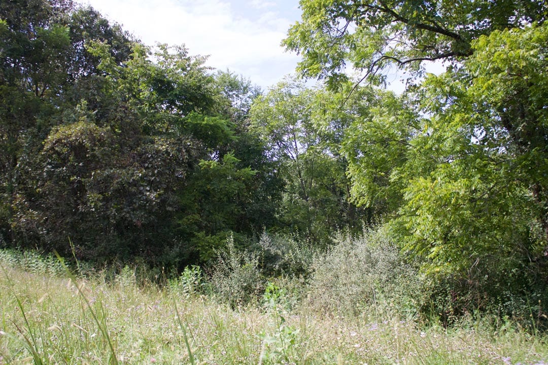 Heritage Hollow Tract 22 photo 2
