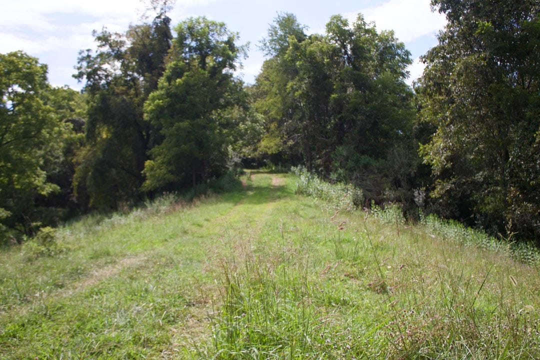 Heritage Hollow Tract 22 photo 3