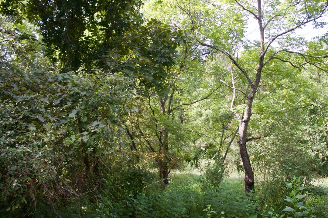 Heritage Hollow Tract 22 photo 6