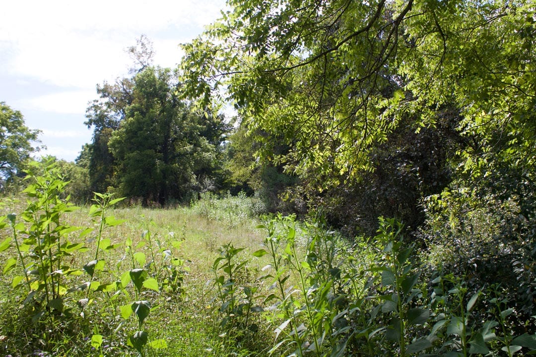 Heritage Hollow Tract 22 photo 7