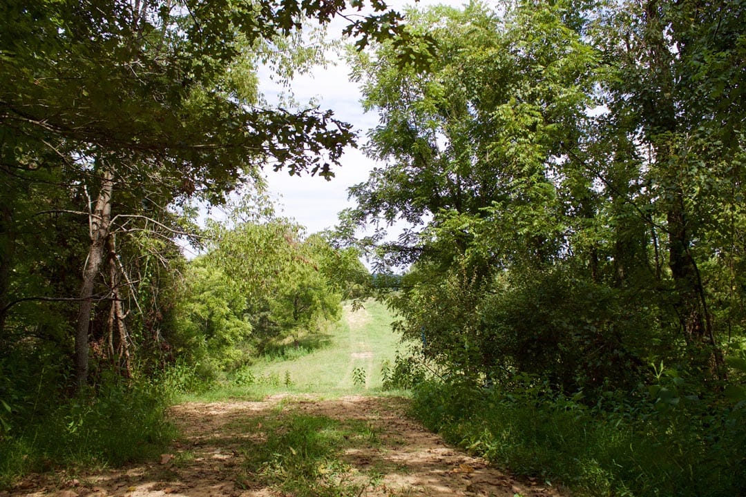 Heritage Hollow Tract 22 photo 8
