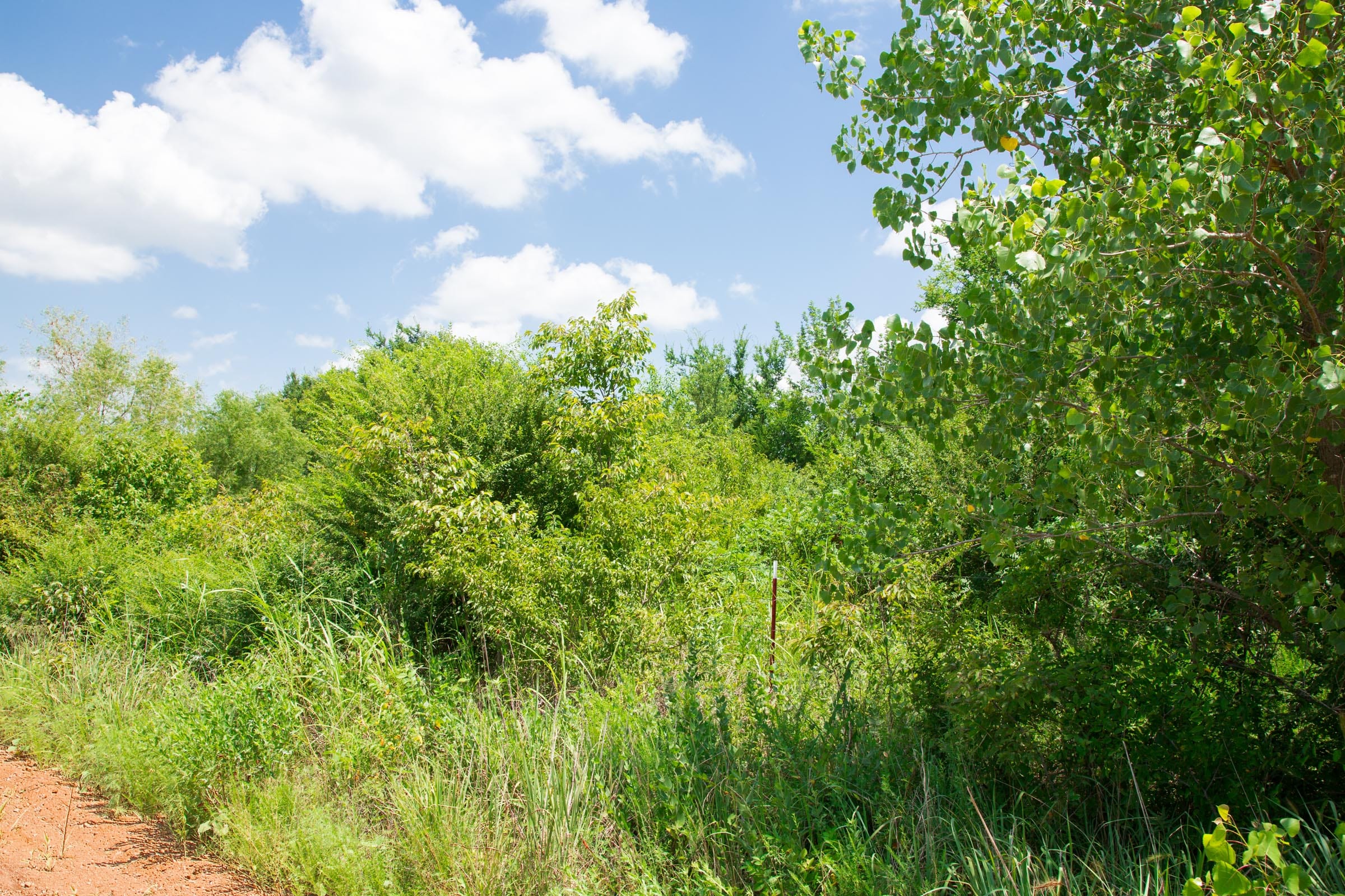 Deep Fork Ranch Tract 11 photo 3