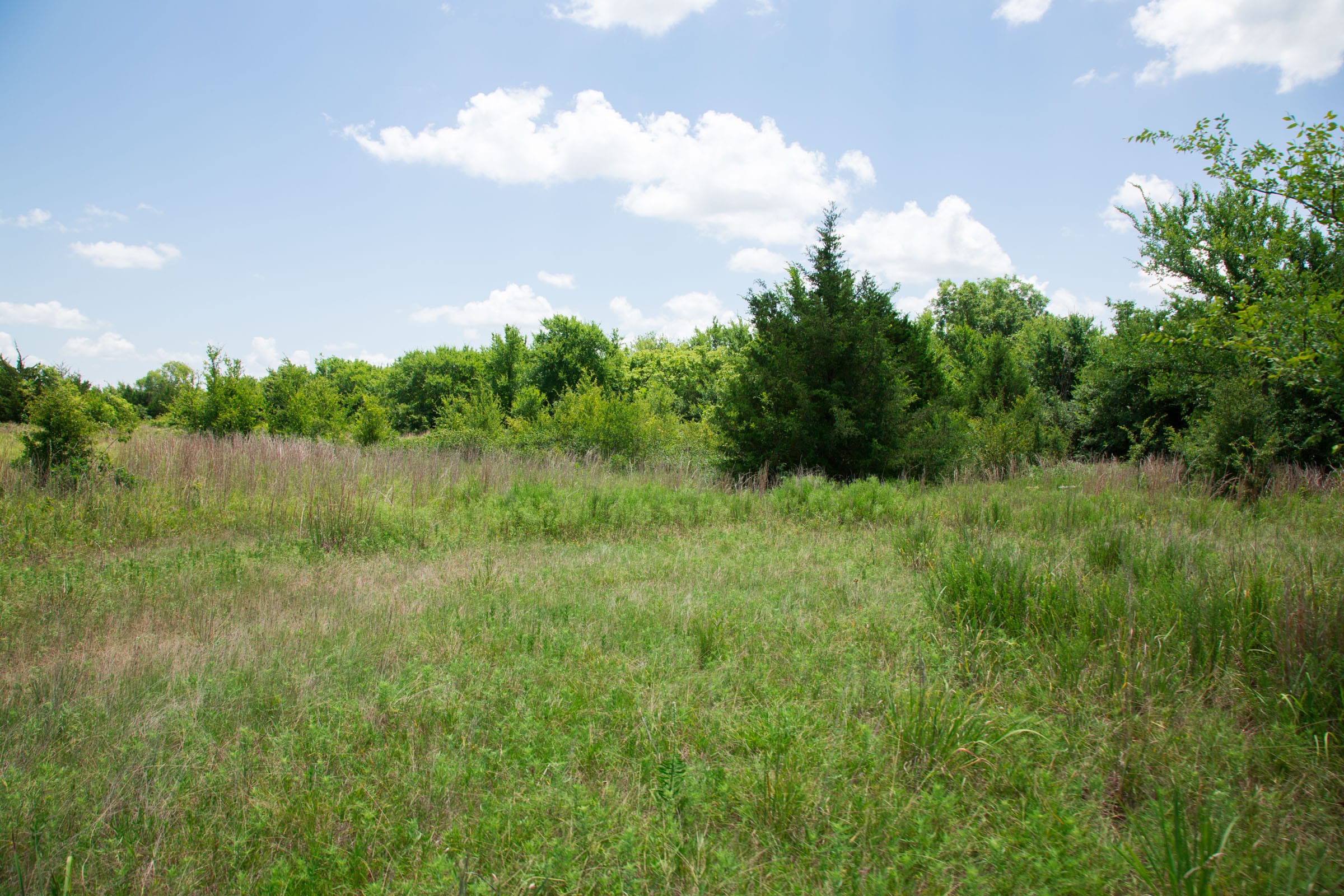 Deep Fork Ranch Tract 11 photo 8
