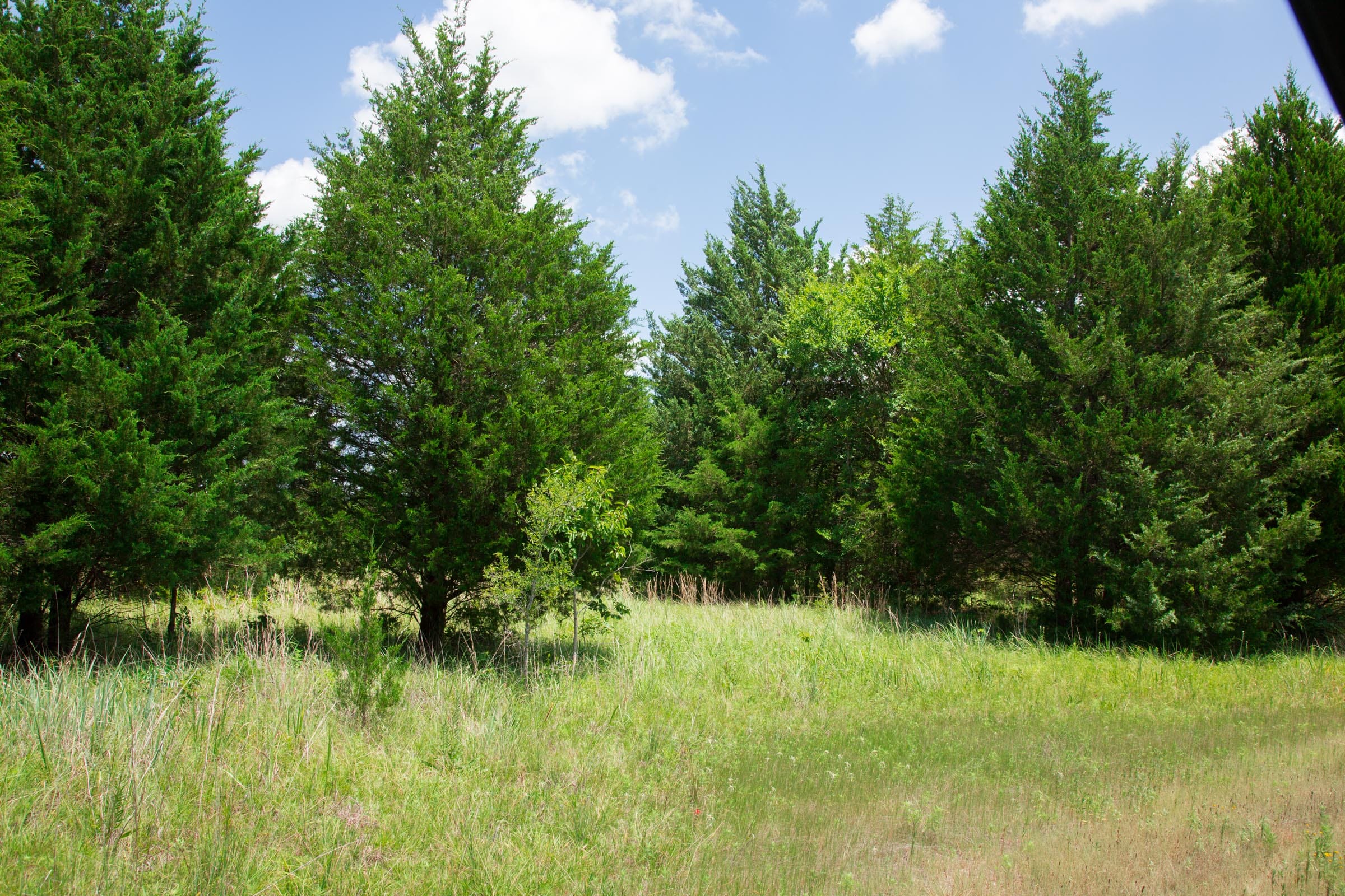 Deep Fork Ranch Tract 11 photo 9