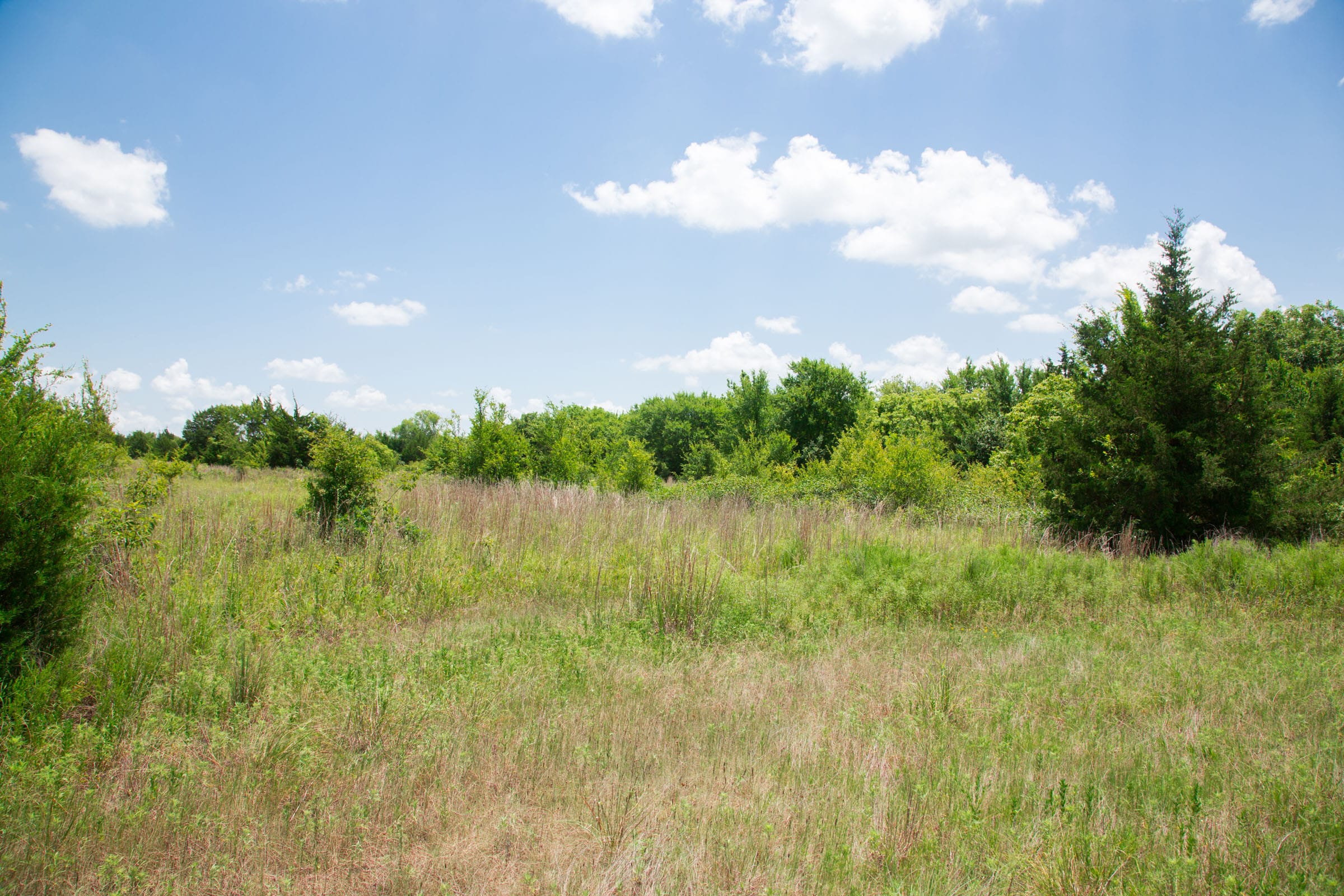 Deep Fork Ranch Tract 11 photo 10