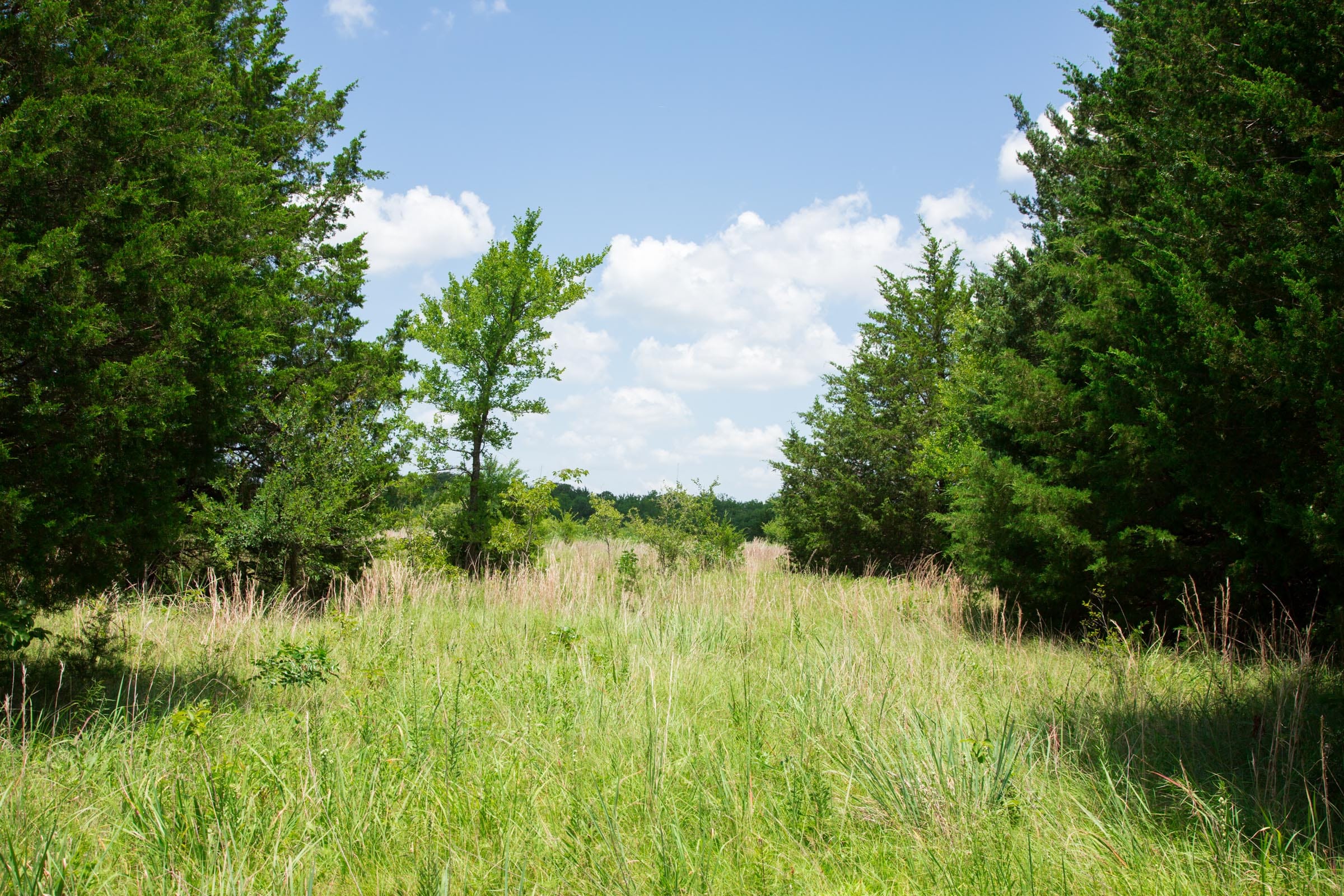 Deep Fork Ranch Tract 11 photo 11