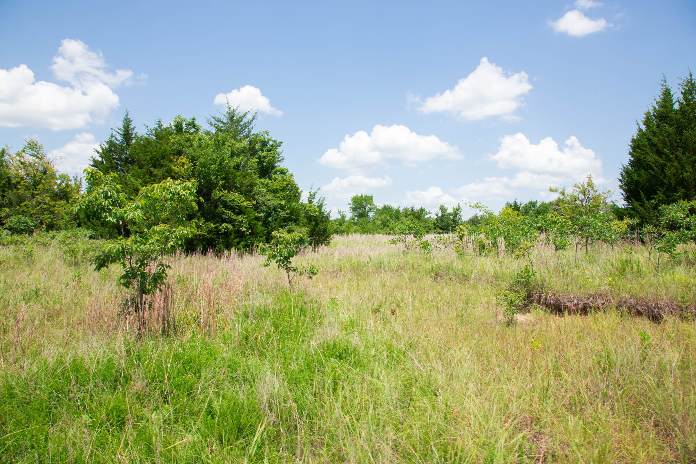 Deep Fork Ranch Tract 11 photo 12