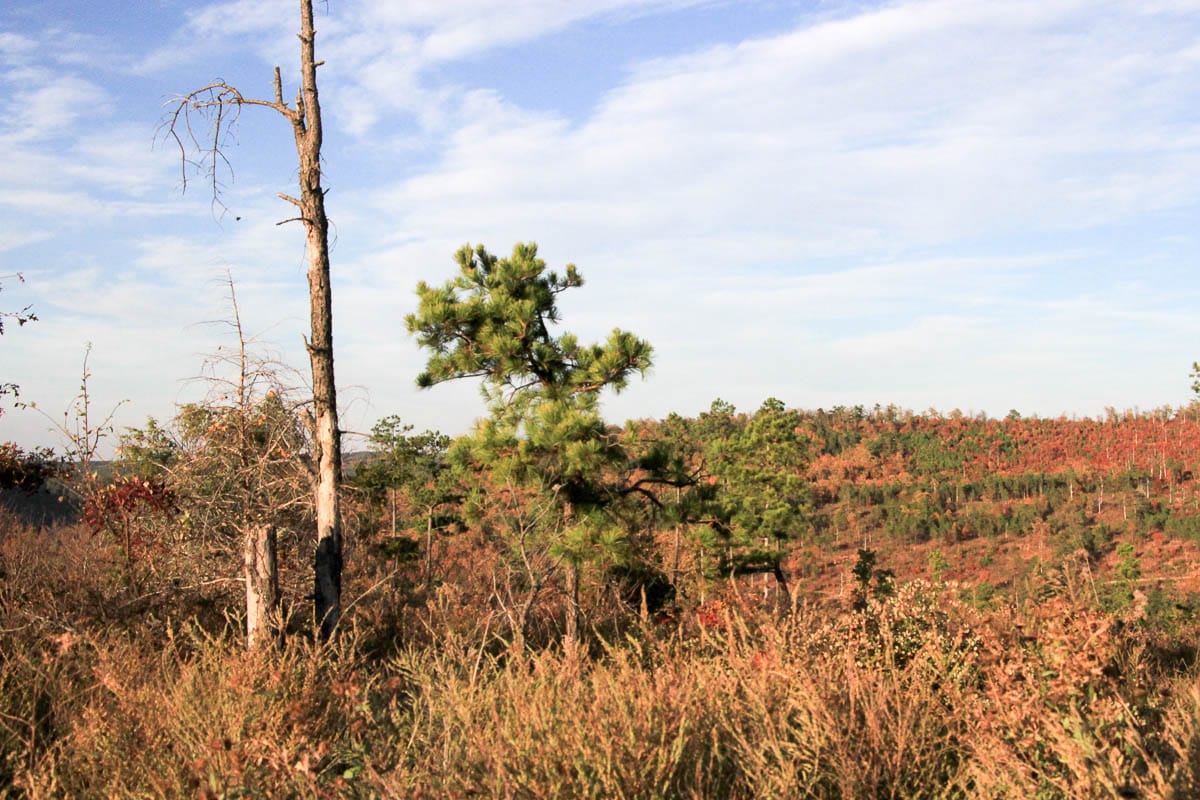 Stone Creek Phase III Tract 40 photo 8