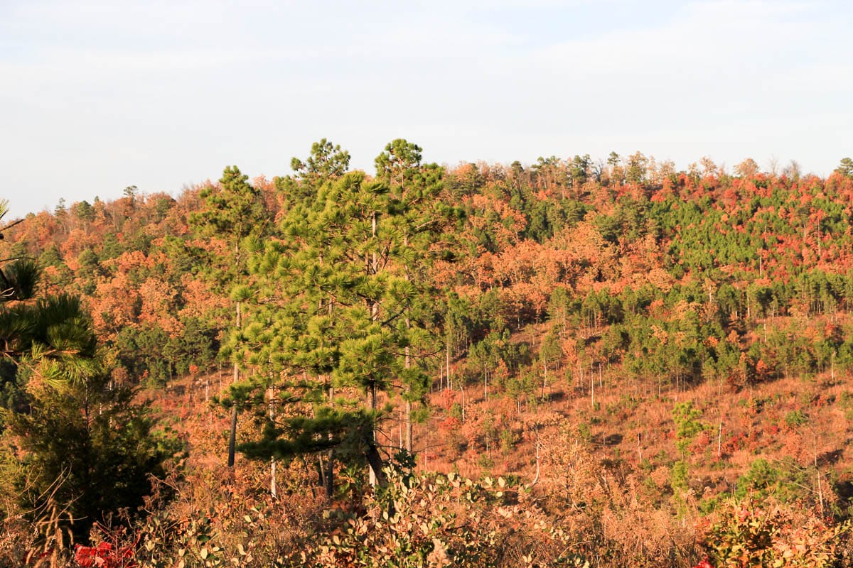 Stone Creek Phase III Tract 40 photo 12