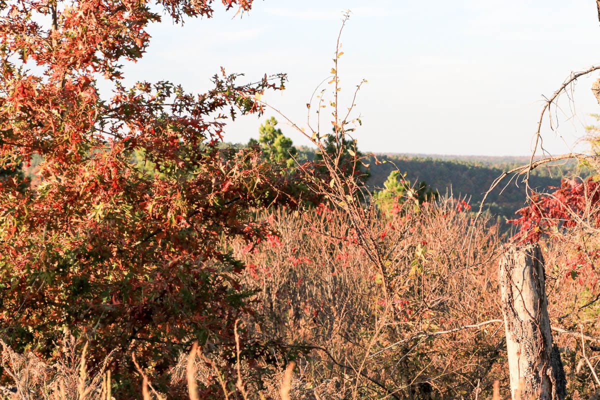 Stone Creek Phase III Tract 40 photo 13