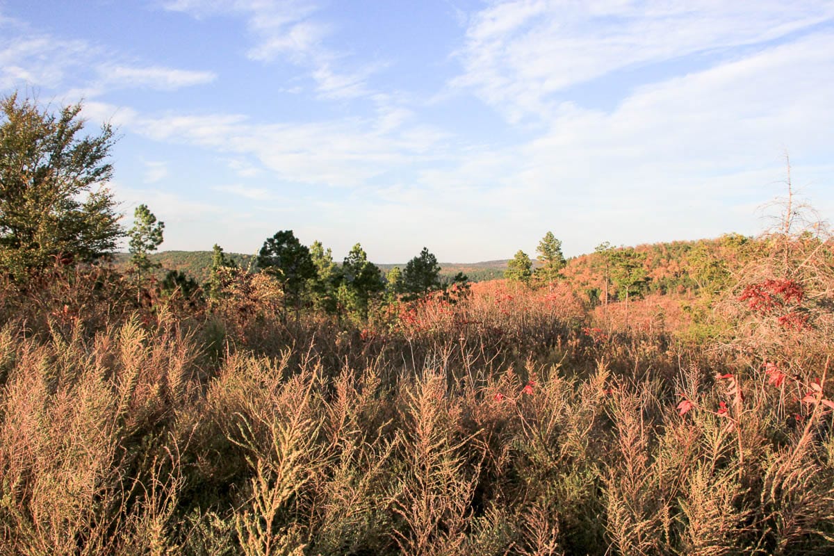Stone Creek Phase III Tract 40 photo 14