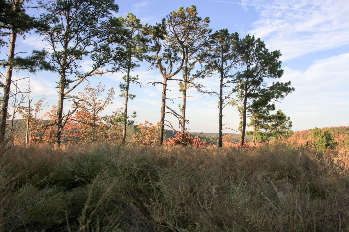 Stone Creek Phase III Tract 40 photo 17
