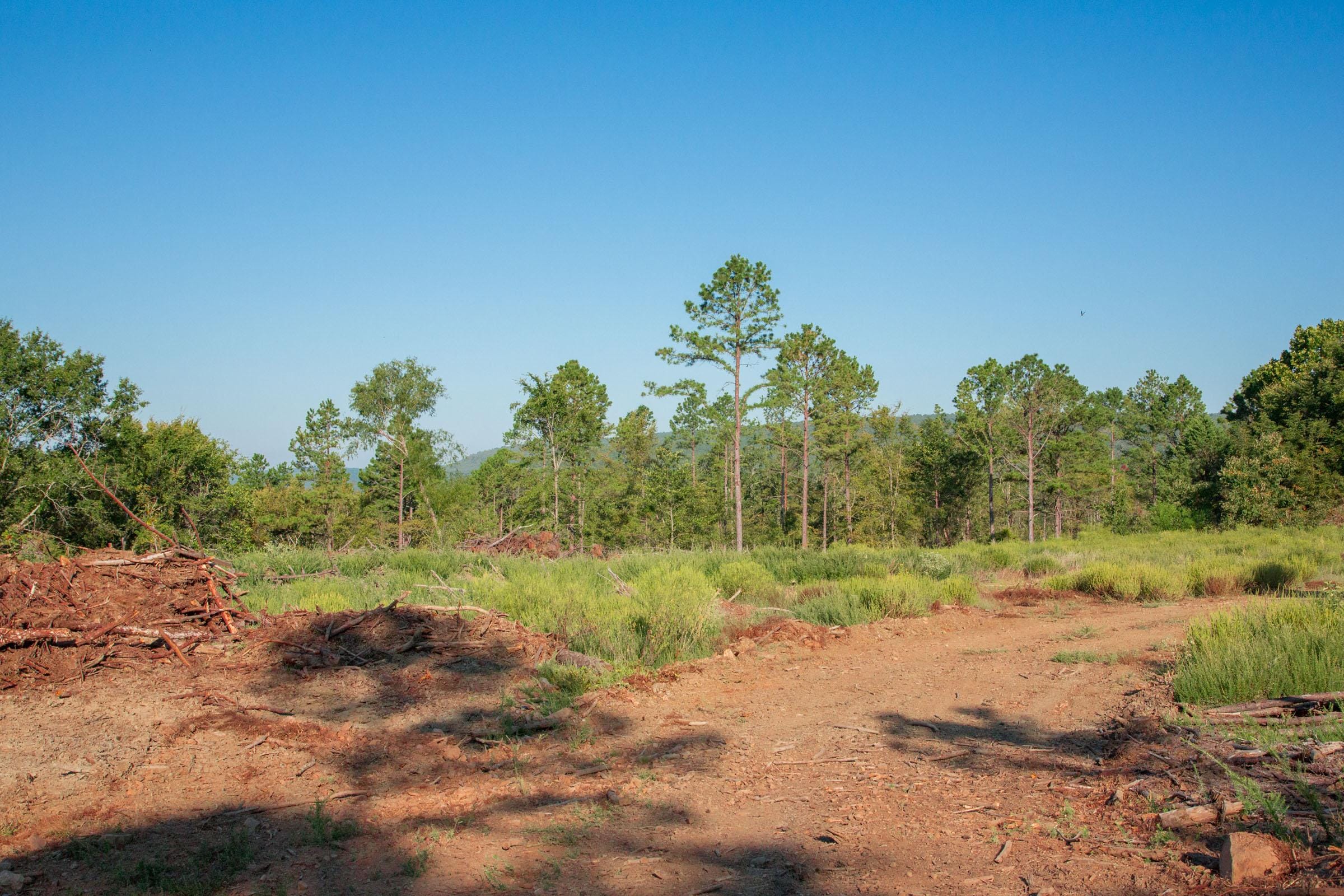 Stone Creek Phase II Tract 275 photo 6