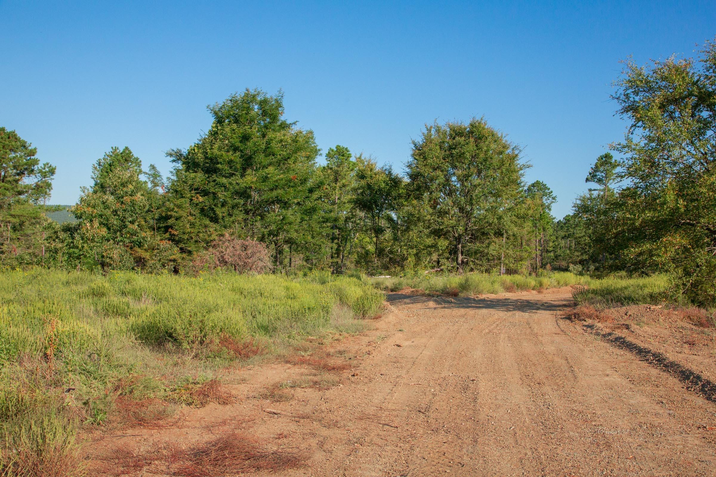 Stone Creek Phase II Tract 275 photo 2