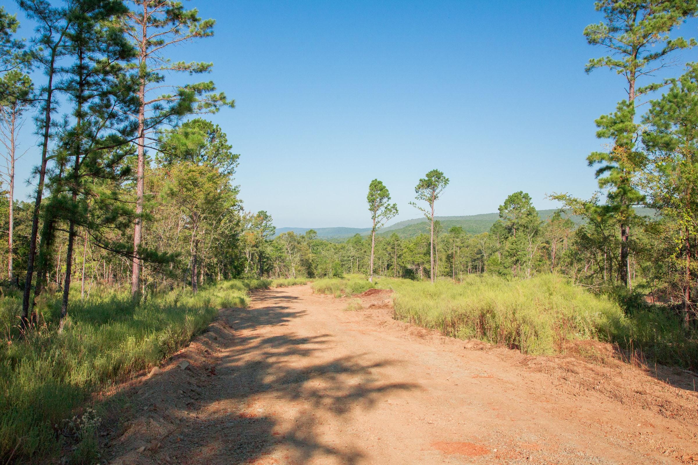 Stone Creek Phase II Tract 275 photo 4