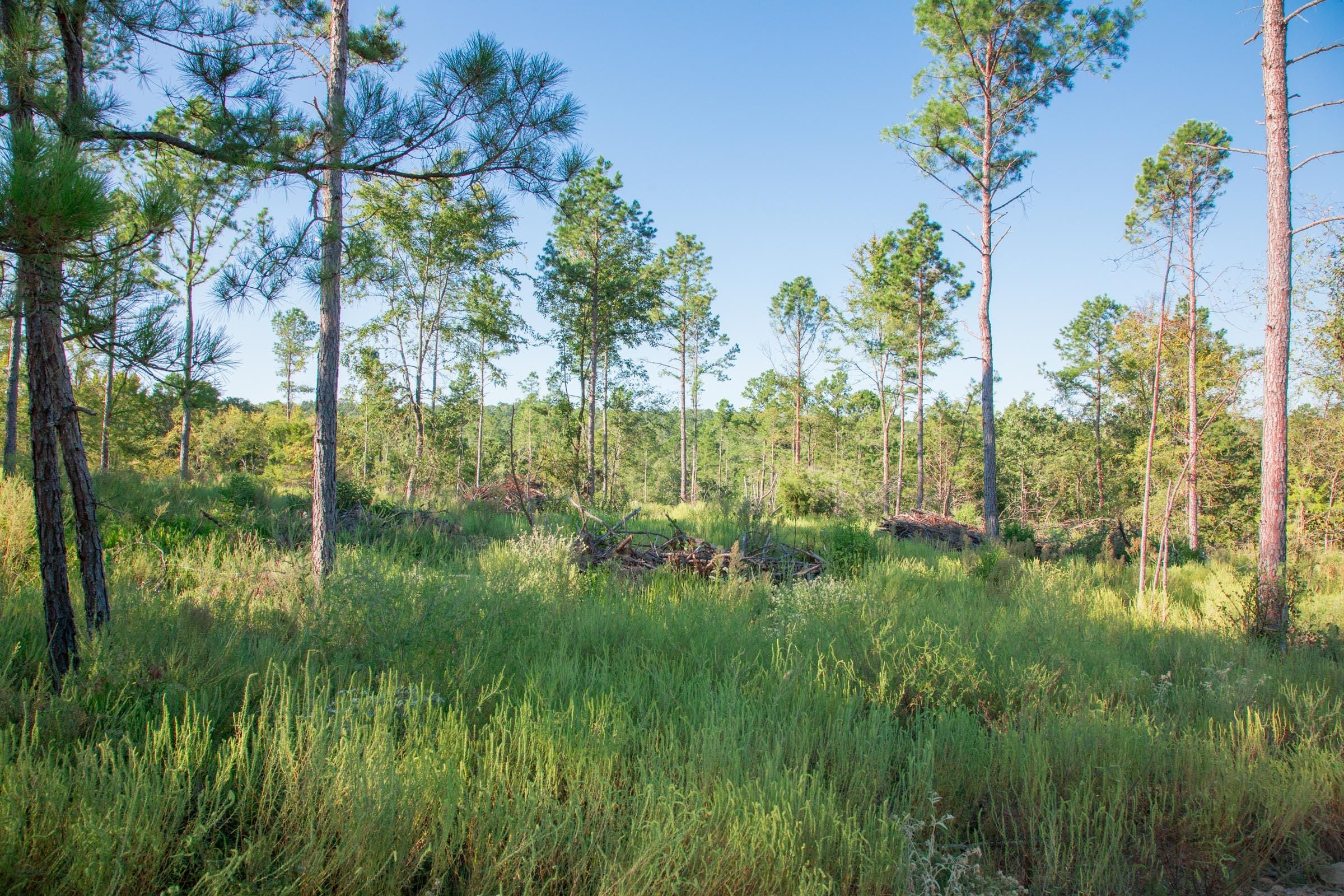 Stone Creek Phase II Tract 275 photo 5