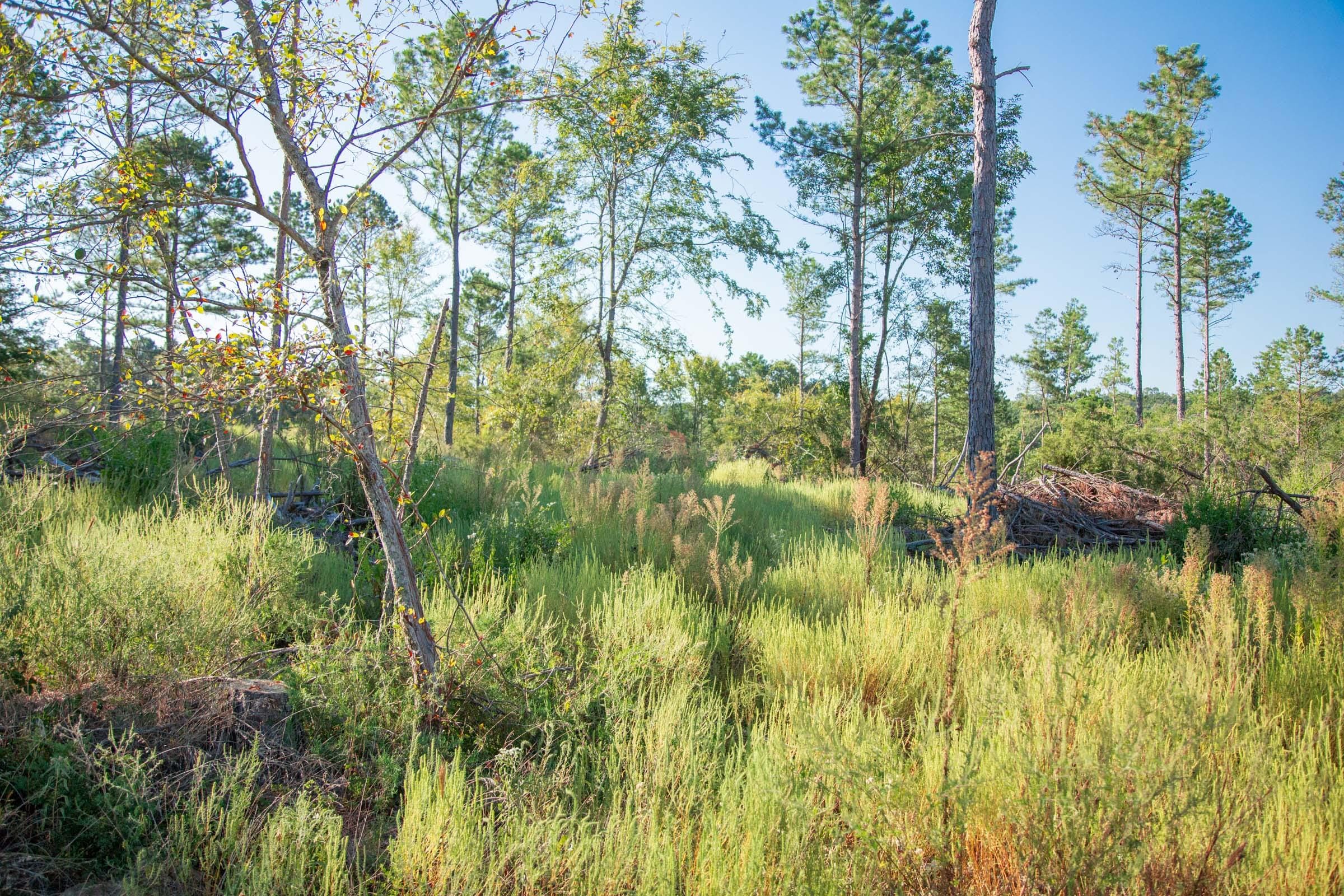 Stone Creek Phase II Tract 275 photo 10