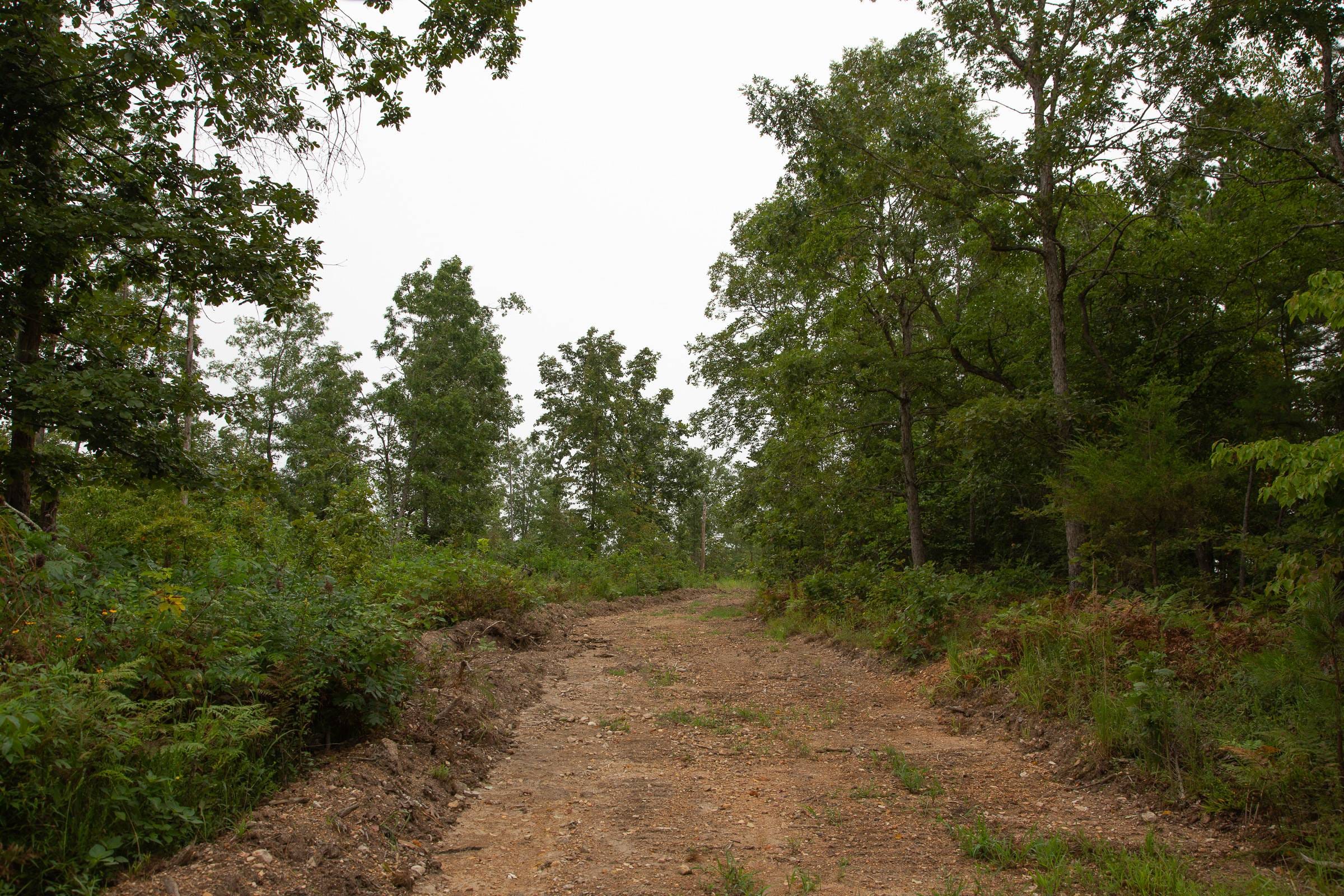 Borgmann’s Hollow Phase II Tract 42 photo 1