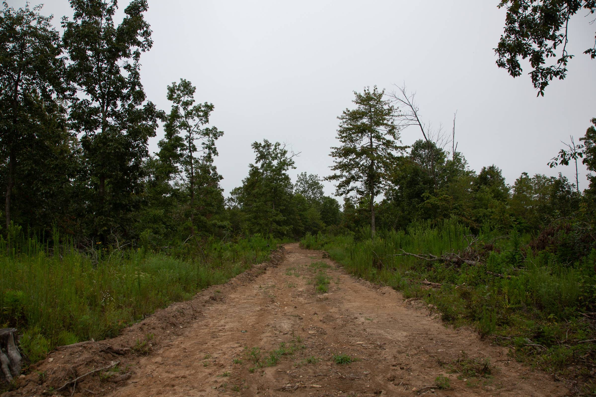 Borgmann’s Hollow Phase II Tract 42 photo 8