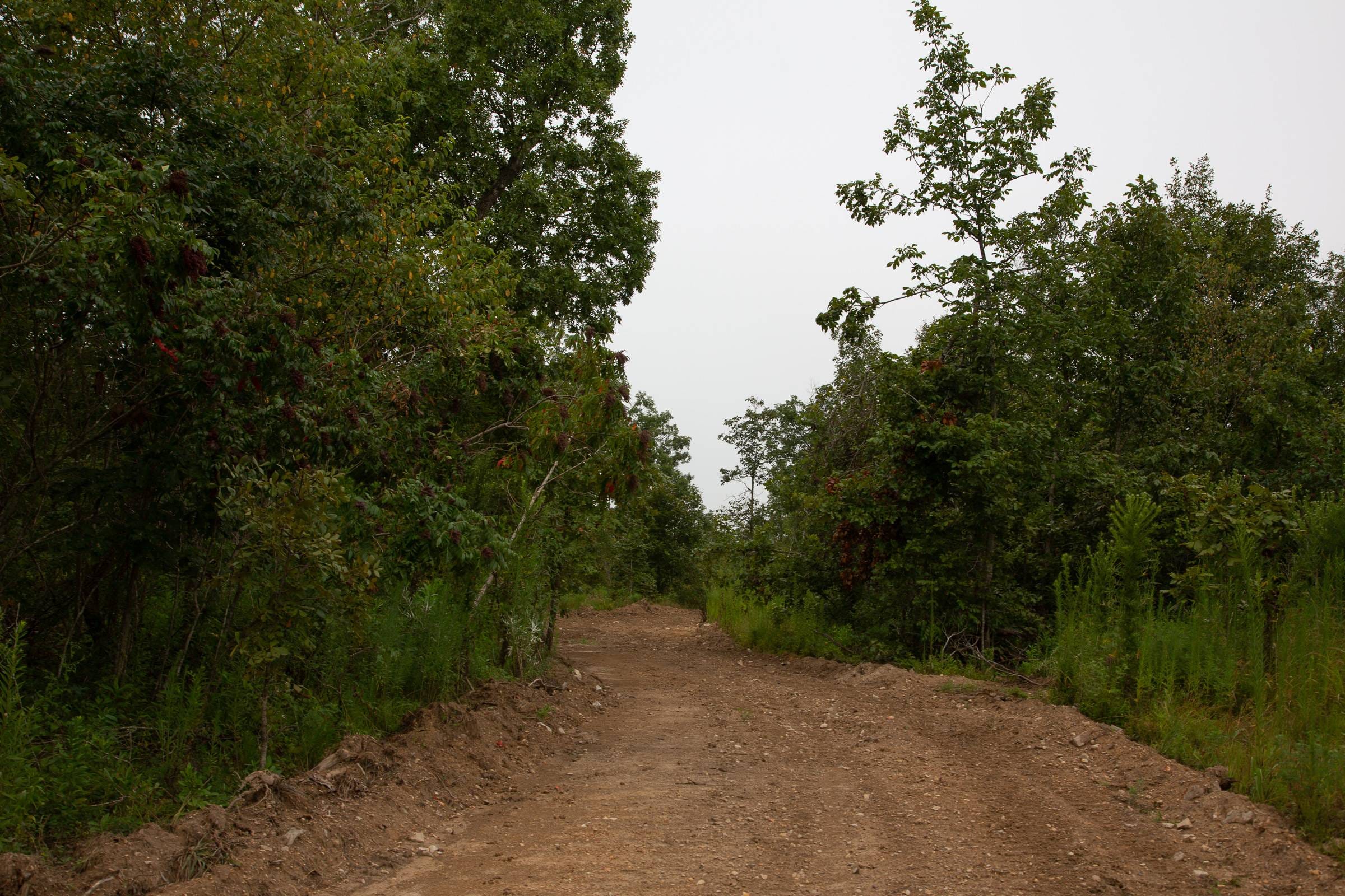 Borgmann’s Hollow Phase II Tract 42 photo 15