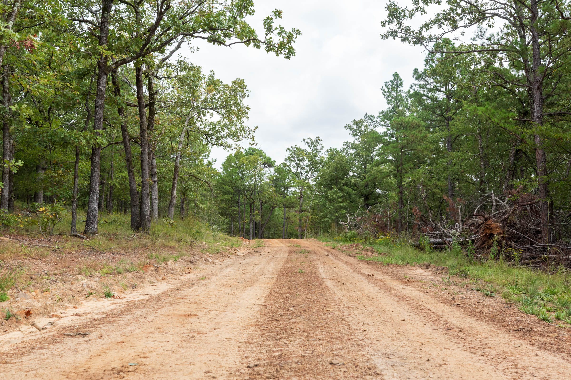 Stone Bridge Phase V Tract 350 photo 1