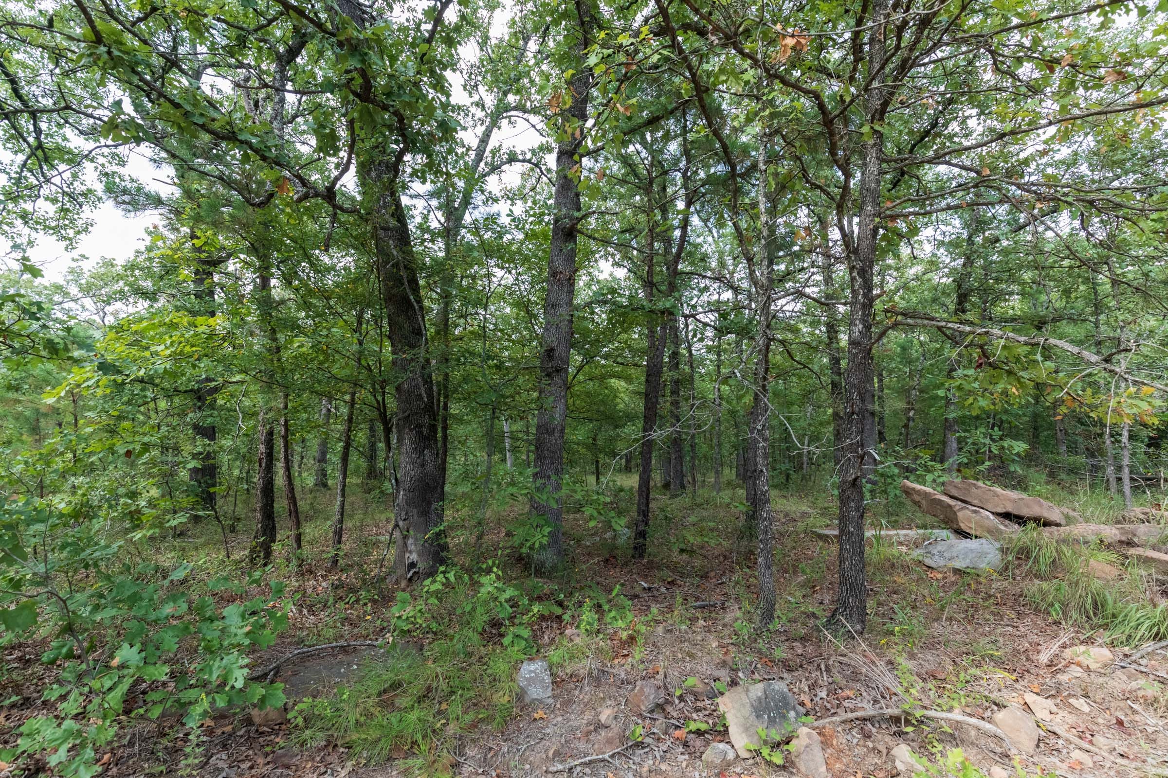 Stone Bridge Phase V Tract 350 photo 6