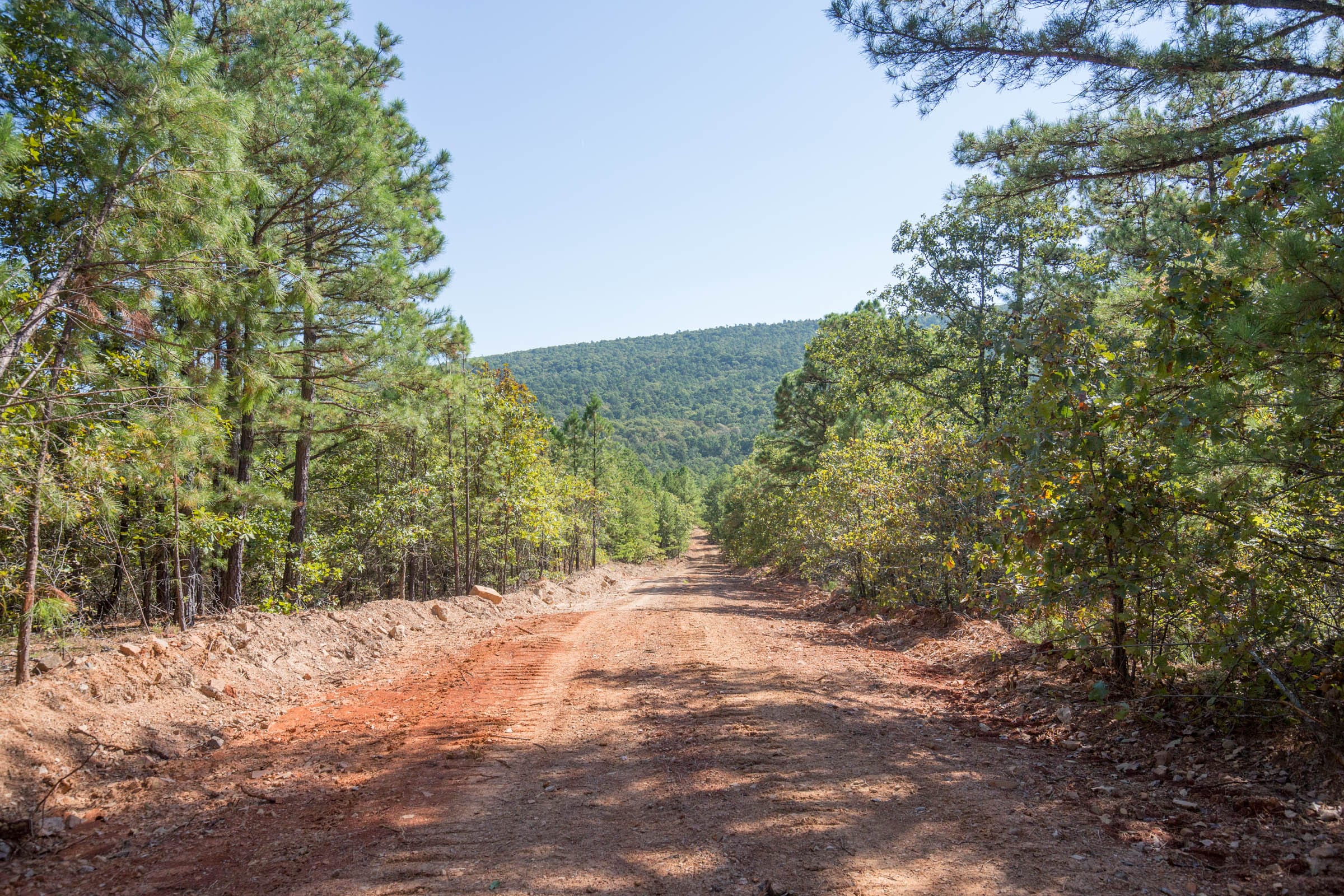 Stone Bridge Phase I Tract 64 photo 6