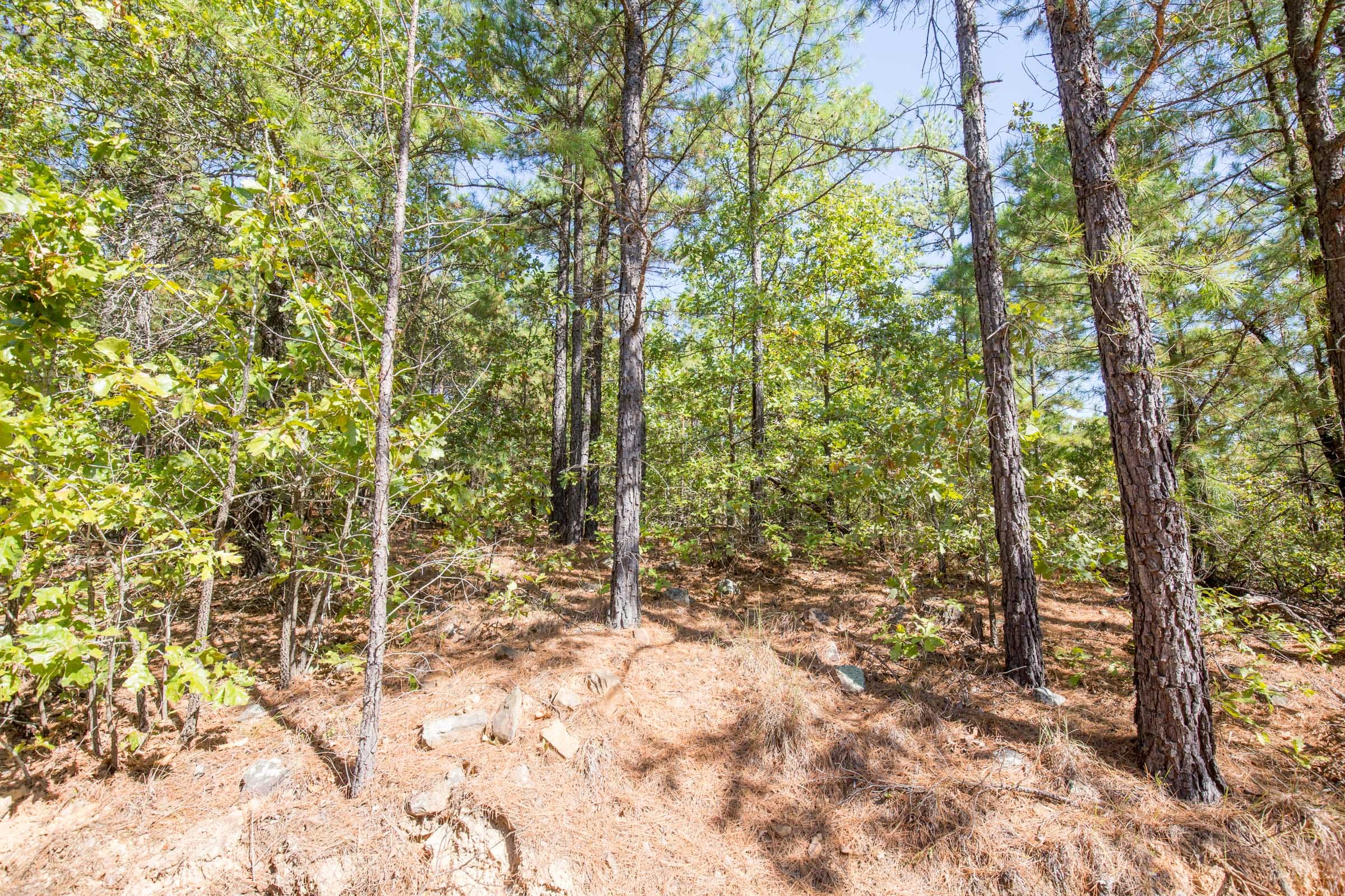 Stone Bridge Phase I Tract 64 photo 11